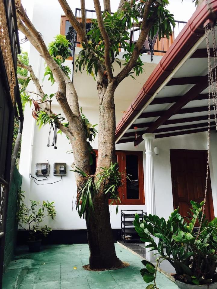 Bed and Breakfast House Of Seya Negombo Exteriér fotografie