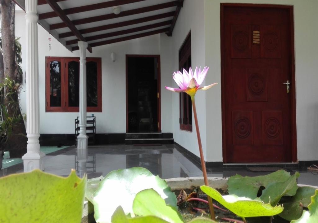 Bed and Breakfast House Of Seya Negombo Exteriér fotografie