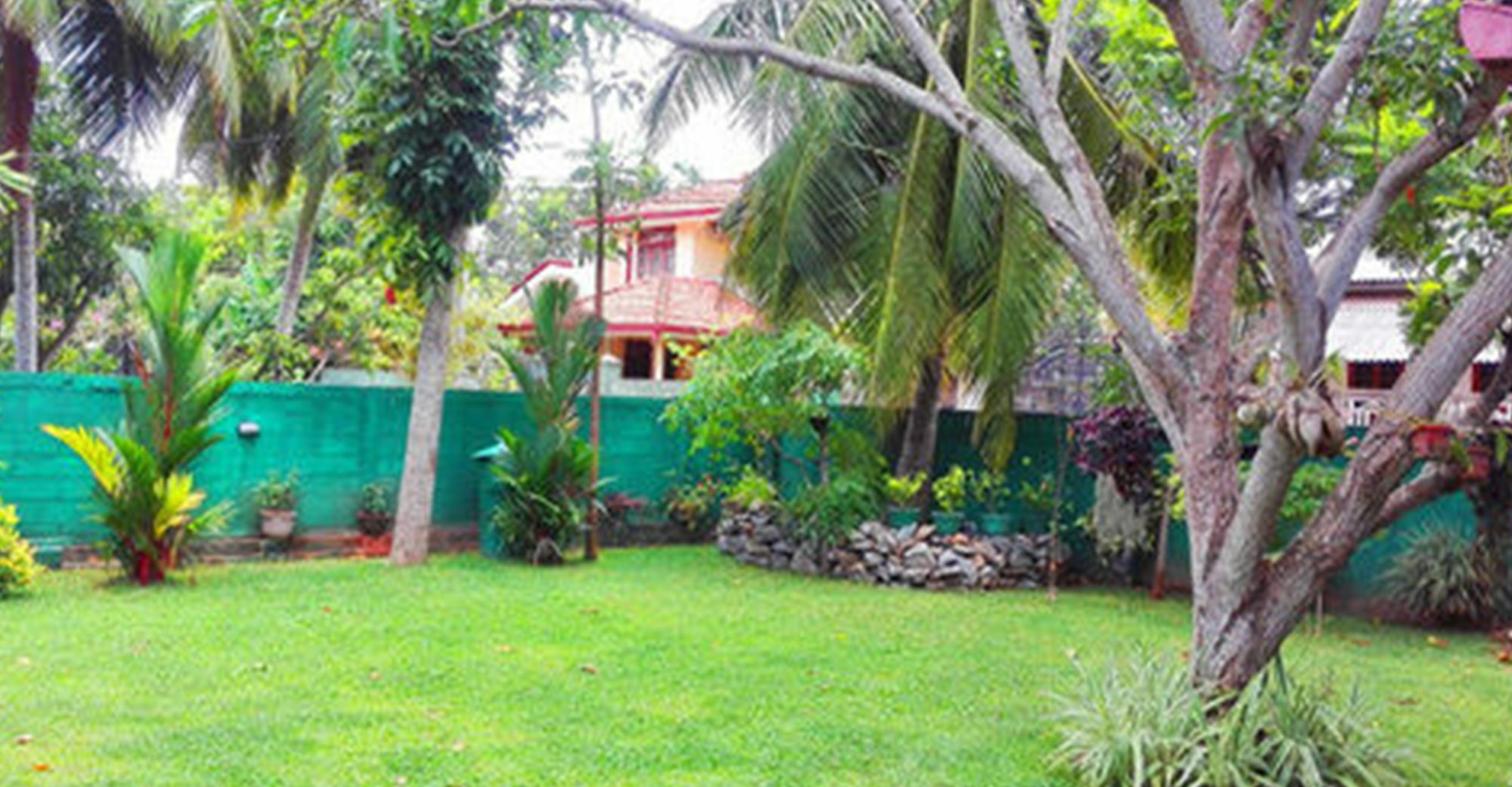 Bed and Breakfast House Of Seya Negombo Exteriér fotografie